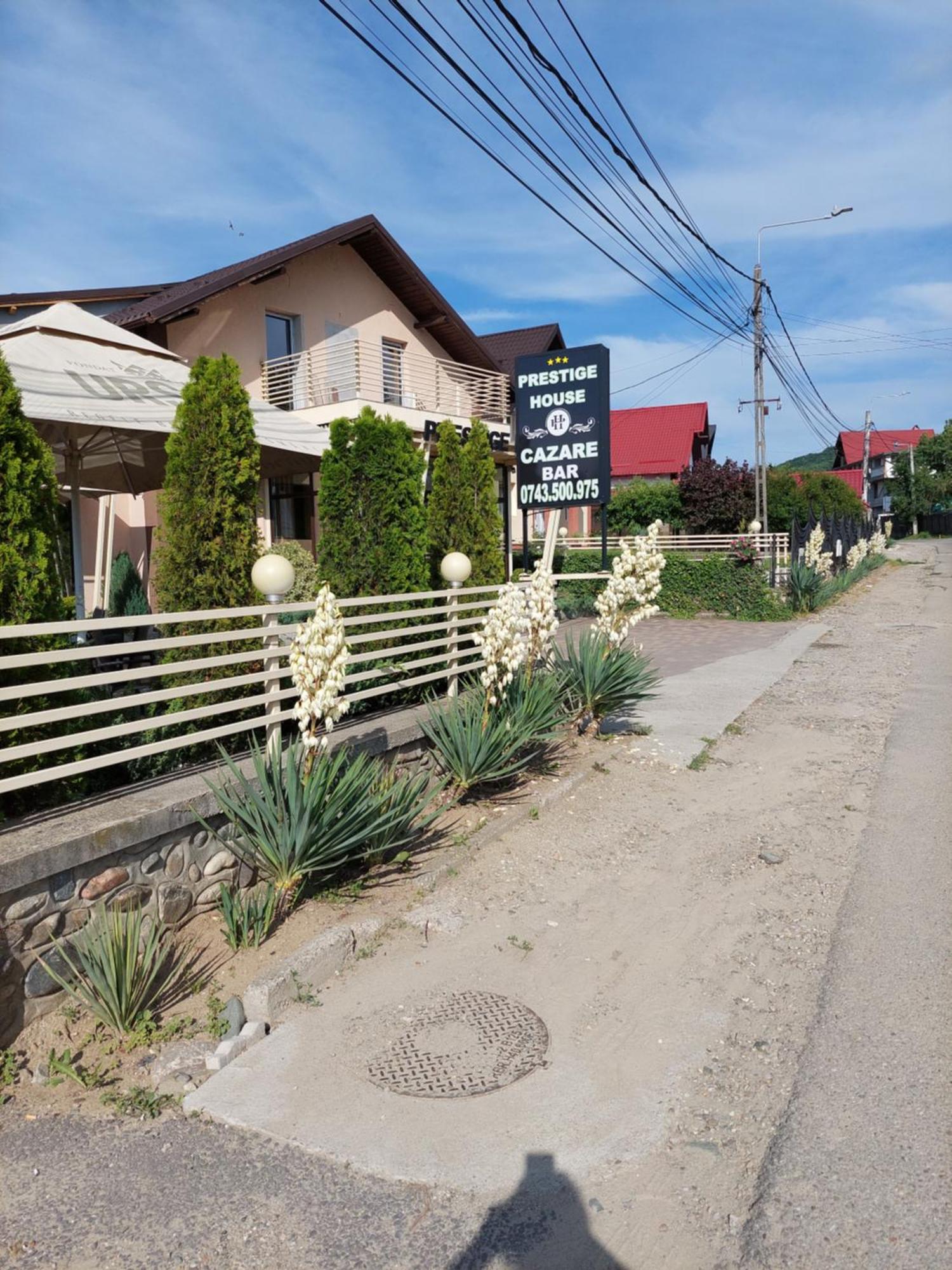 Pensiunea Prestige House Curtea de Argeş Exterior foto